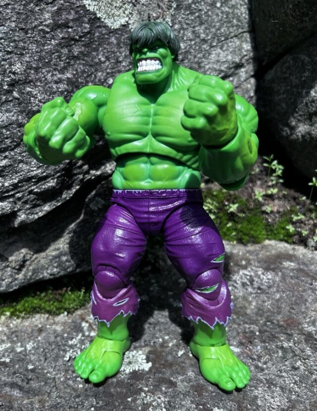 Aggro Head Hulk Green Legends 2025 Hasbro Action Figure