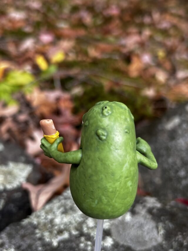 Back of Hasbro Doop Marvel Legends Action Figure