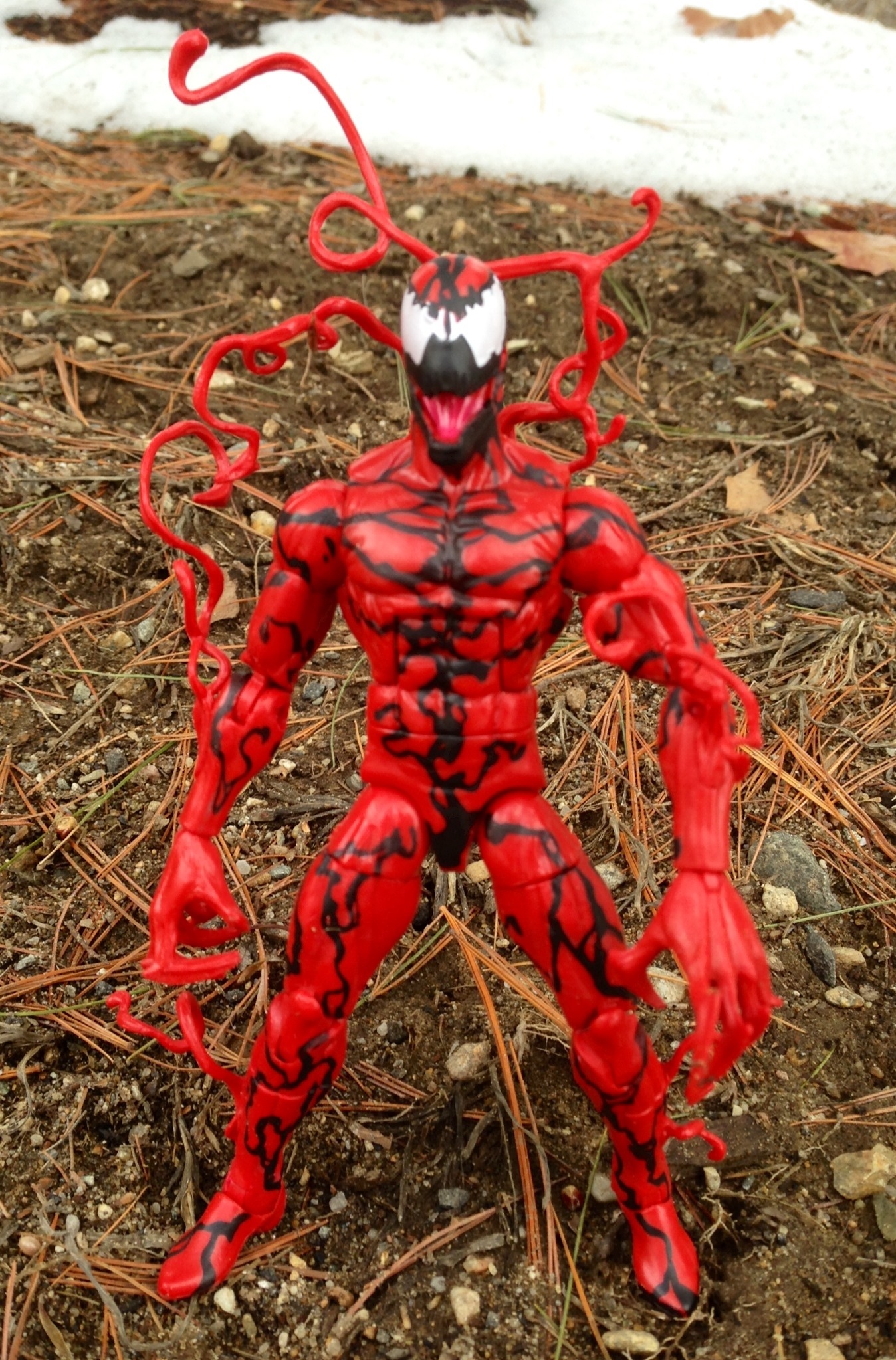 SpiderMan Marvel Legends Carnage Review & Photos (2014
