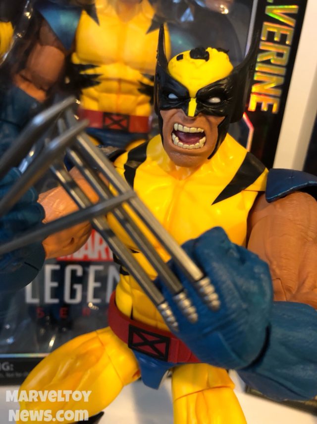 Close-Up of Wolverine Marvel Legends 12" Figure